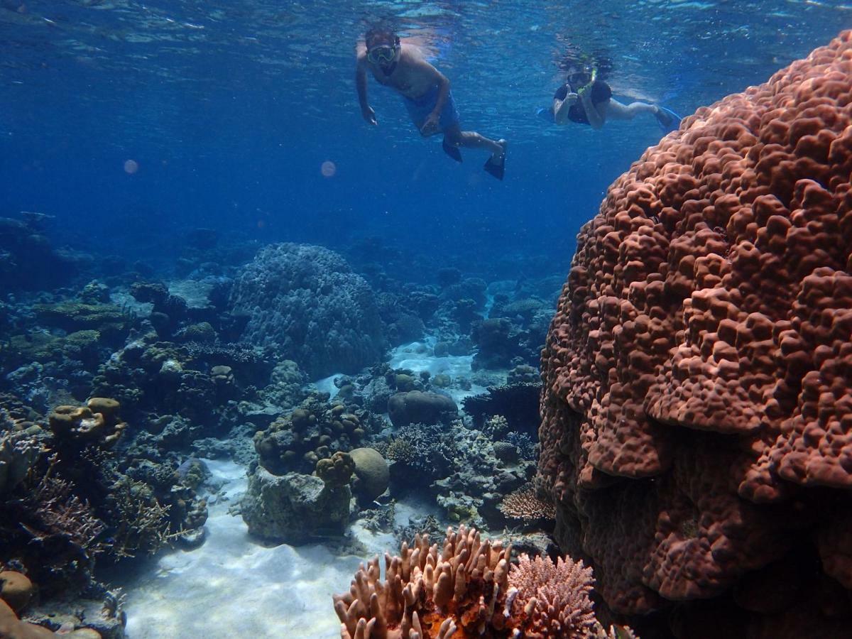 Blue Coral Homestay Karimunjawa Esterno foto
