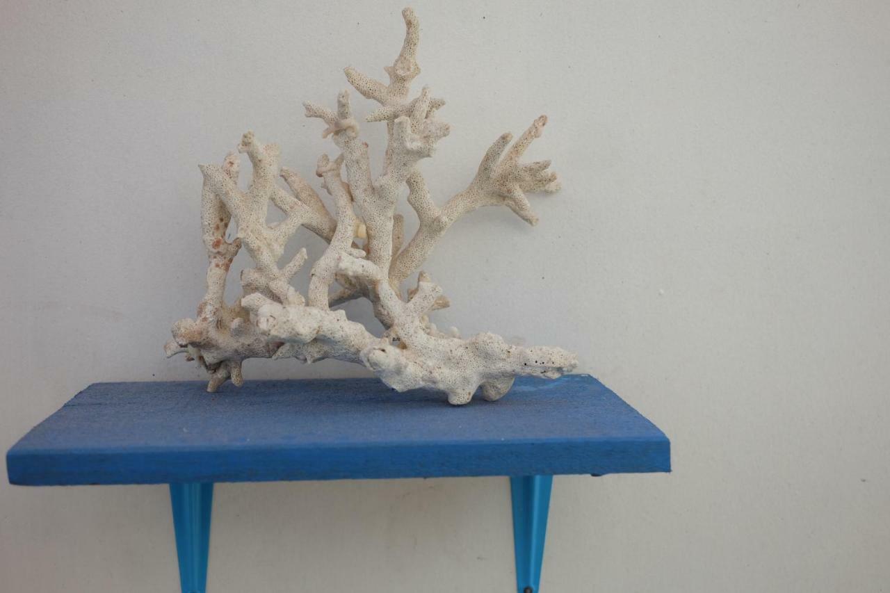 Blue Coral Homestay Karimunjawa Esterno foto